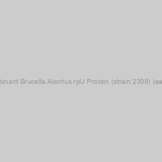 Image of Recombinant Brucella Abortus rplJ Protein (strain 2308) (aa 1-172)
